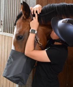 Mask'Eol - Chevaux (Shetland/Poney), pièce
